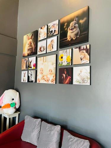 Talat Yai Hostel | Rabbitel Phuket