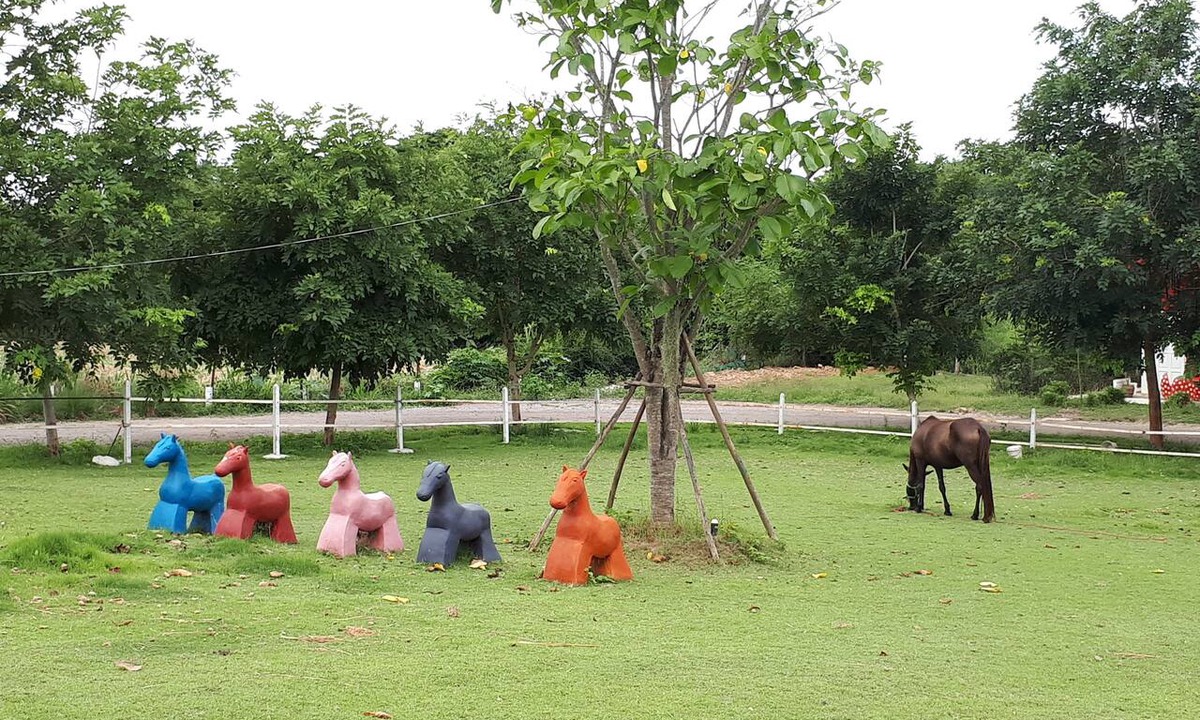Suan Phueng Hotel | Rai Phurak Resort
