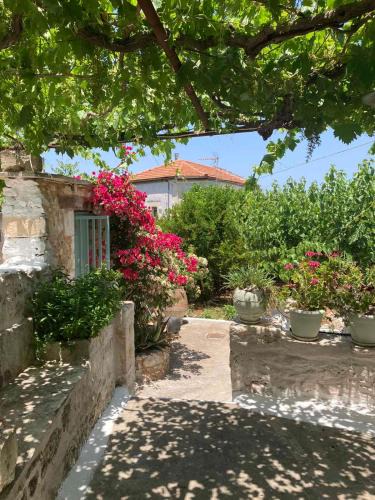 Apokoronas House | Sergios Village House