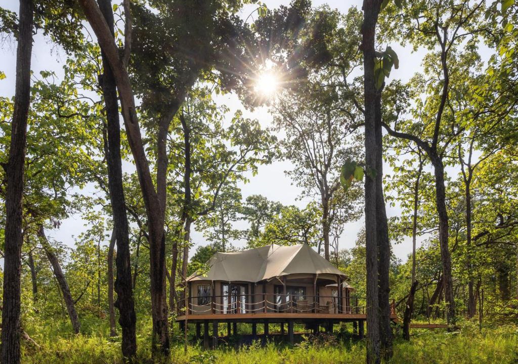 Siem Pang Other | Siempang Forest Lodge