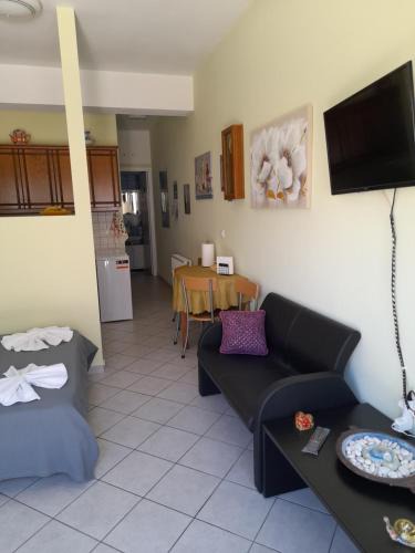 Paleopolis Apartment | SummerAndros Pefkakia