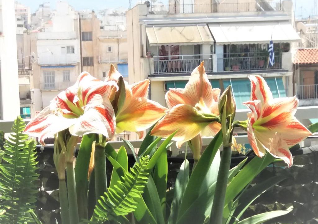 Kypseli Apartment | Sunny Studio Penthouse in center of Athens