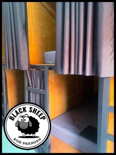 Haad Rin Hostel | The Black Sheep Hostel