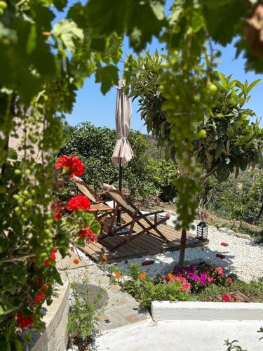 Pefki Apartment | The Garden House, Sitia