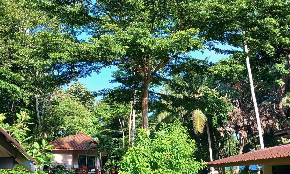 Ko Lanta Hotel | The Last Paradise