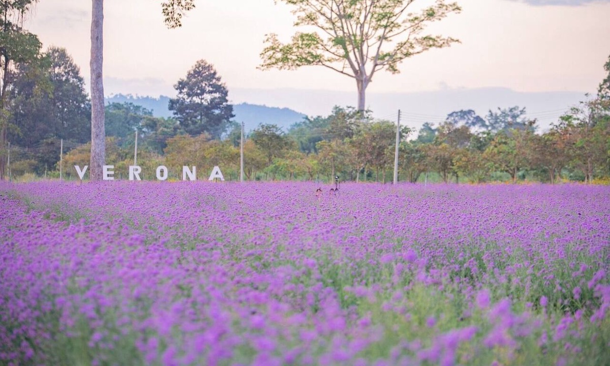 Na Di Hotel | Verona Boutique Hotel