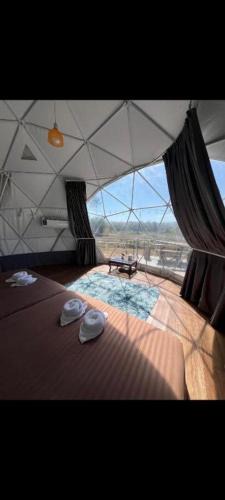 Khao Kho Other | View x Camping