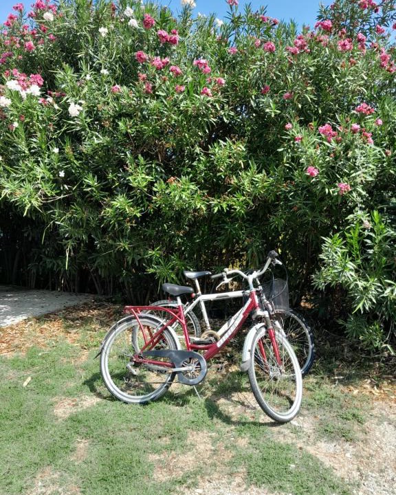 Agios Ioannis House | Villa Menta