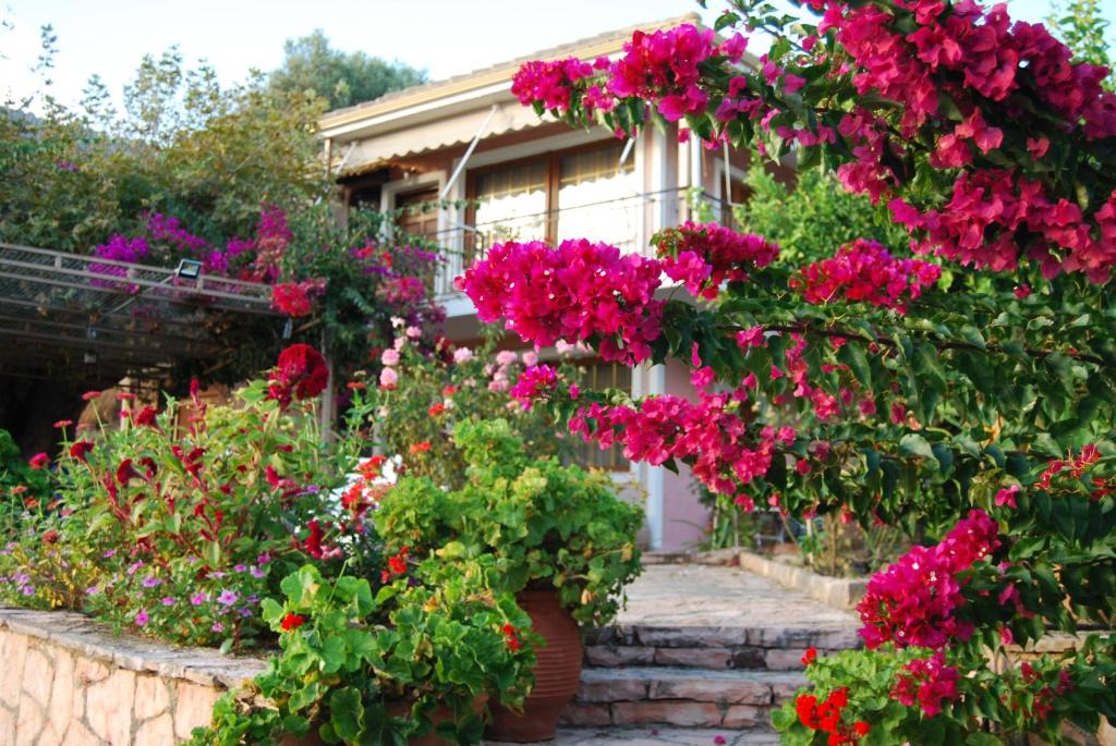 Plataria Apartment | Villa Niki