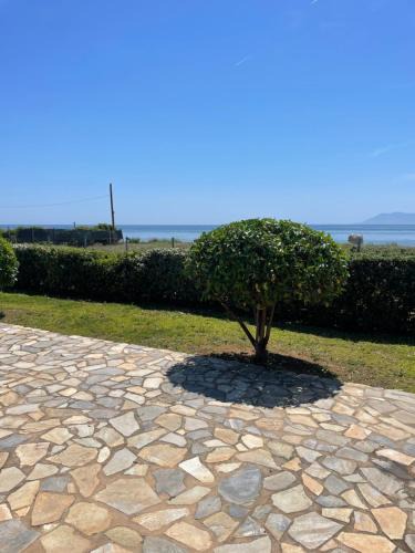 Alexandroupoli House | VILLA PETER