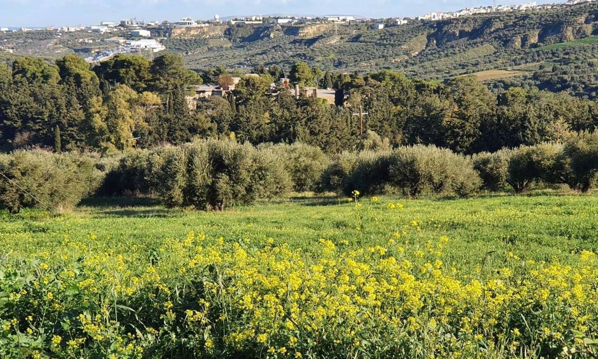 Knosos Villa | Villa Phyllia, a property with history - fifteen minutes from Iraklion airport.