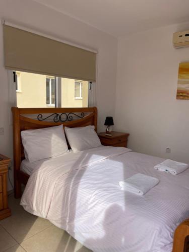 Ayia Napa Villa | Villa Rhea