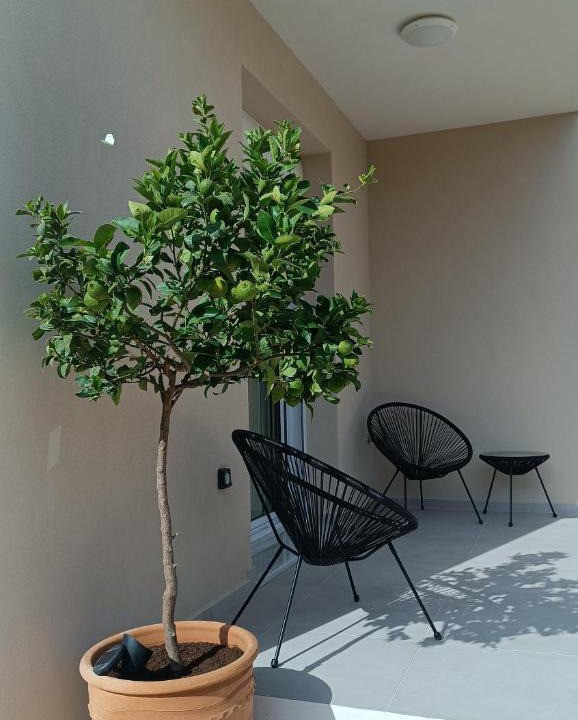 Kalyves Villa | Villa Terra Nuova