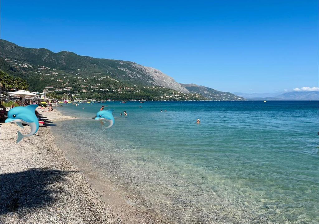 Ipsos Villa | Villa Valia Seaside