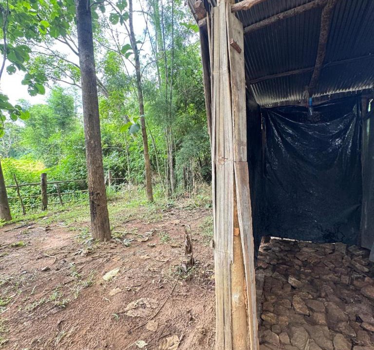 Samoeng Other | Watchara organic farm