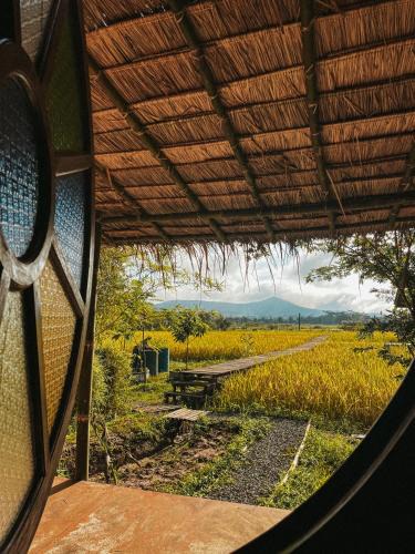 Mueang Ngai Other | Yidan Farmstay in Chiang Dao