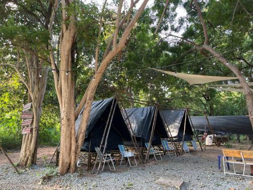 Koh Lan Other | Zulu land Kohlarn