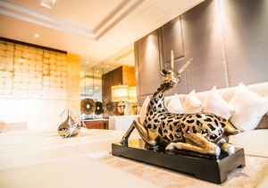 Duplex Presidential Suite