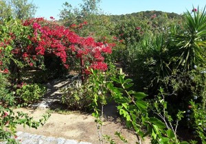 Elise Cottage