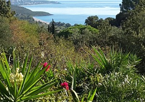 Elise Cottage In Heavenly Mani