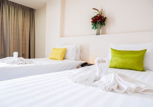 Park Village Rama II