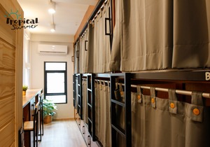 Tropical Summer Hostel