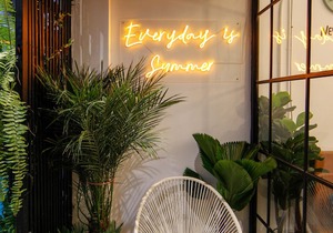 Tropical Summer Hostel