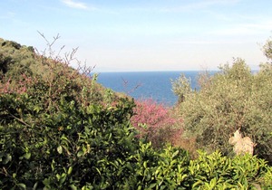 Tsorni House in Lefokastro Pelion