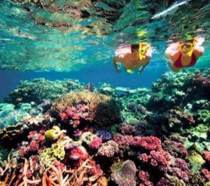 Bondi Backpackers Nhatrang 