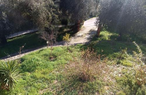 Corfu House | Εξοχικό κατάλυμα στο Βιρο Κέρκυρας