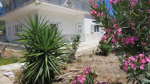 Aigio Apartment | 120 m² Apartment ∙ 5 bedrooms ∙ 10 guests