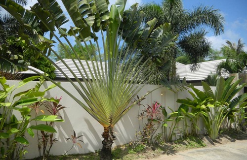 Lipa Noi Villa | 120 m² Villa ∙ 2 bedrooms ∙ 4 guests