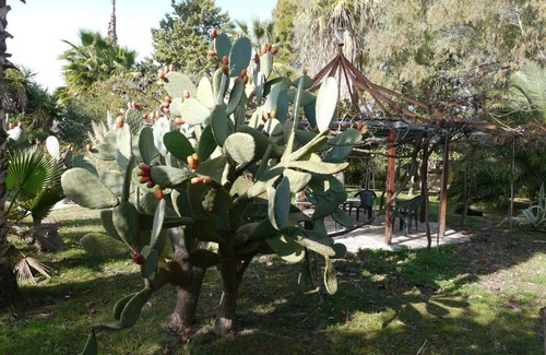 Ilida House | 170 m² House ∙ 2 bedrooms ∙ 2 guests