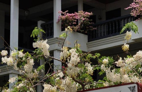 Makkasan Bed & Breakfast | 20 m² Bed and breakfast ∙ 2 guests