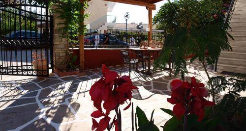 Haniotis Apartment | 30 m² Apartment ∙ 5 guests