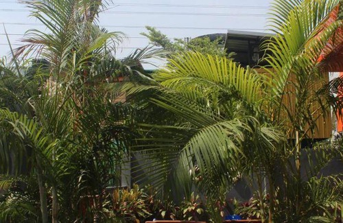 Ploenchit Hostel | 30 m² Hostel ∙ 2 guests