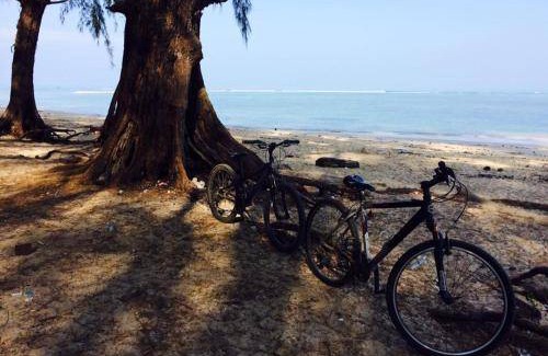 Mai Khao Bed & Breakfast | 36 m² Bed and breakfast ∙ 3 guests