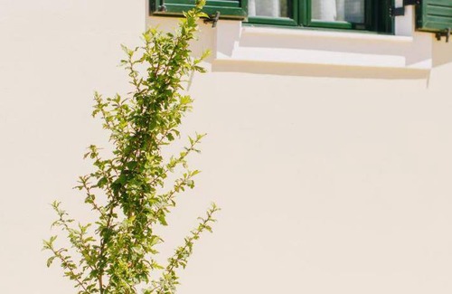 Ayia Anna Bed & Breakfast | 37 m² Bed and breakfast ∙ 4 guests
