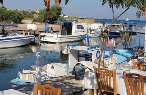 Liopetri Apartment | 55 m² Apartment ∙ 2 bedrooms ∙ 6 guests
