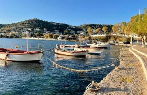 Salamis House | 59 m² House ∙ 2 bedrooms ∙ 3 guests