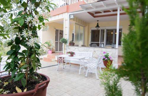 Afytos Apartment | 60 m² Apartment ∙ 4 guests