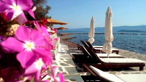 Amfilochia Apartment | 60 m² Apartment ∙ 2 bedrooms ∙ 5 guests