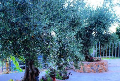 Diasella Apartment | 61 m² Apartment ∙ 2 bedrooms ∙ 4 guests