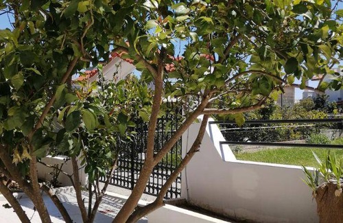 Psinthos Apartment | 65 m² Apartment ∙ 4 guests