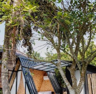 Fang House | Baanfanglamoon