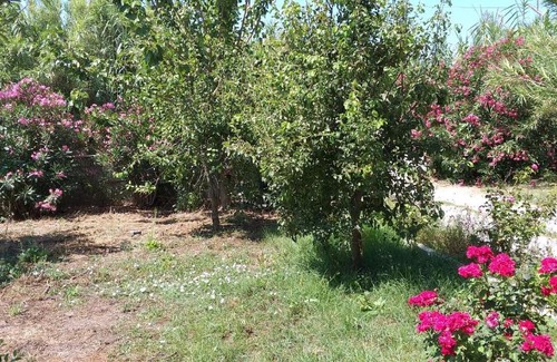 Ag. Georgios House | front of the beach