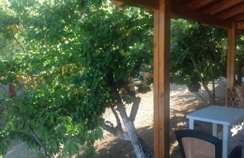 Sitia Apartment | Hotel Petras Beach