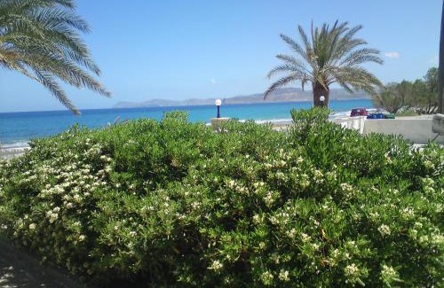 Sitia Apartment | Hotel Petras Beach