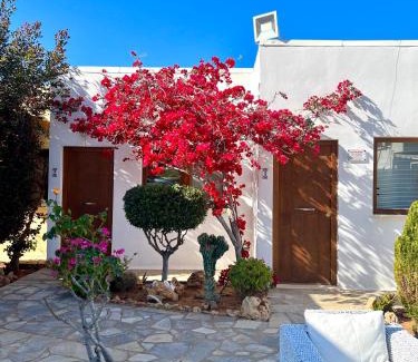 Malia Apartment | Kali Holiday Apartments