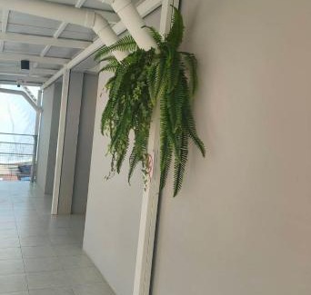 Makkasan Hostel | MoMoYa House